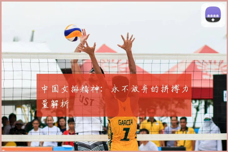 中国女排精神:永不放弃的拼搏力量解析